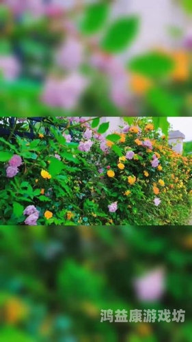 国产影视崛起，精品免费视频的春天
