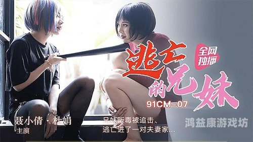 国内精品久久久久久不卡影院国内精品影视资源平台，探索久久久不卡影院的兴起与影响
