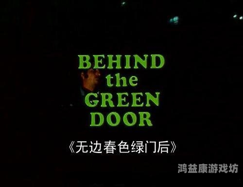 久久精品一区二区电影深喉，经典之作的艺术魅力与时代意义