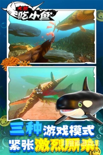 大鱼吃小鱼，经典游戏及其背后的故事
