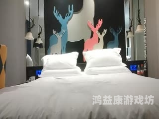 亚洲最大的午夜理论片，揭秘其背后的文化与市场