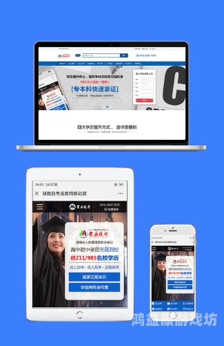 国产成人亚洲精品96，探索亚洲成人影视产业的崛起与影响