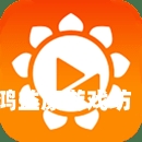 99re在线视频观看，深度解析与使用指南
