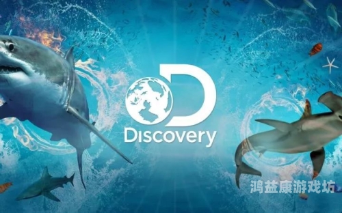 外国福利在线观看入口，探索全球优质内容的新途径国外app 福利