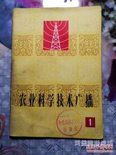 探索乱码一二区在线亚洲背后的文化与技术现象