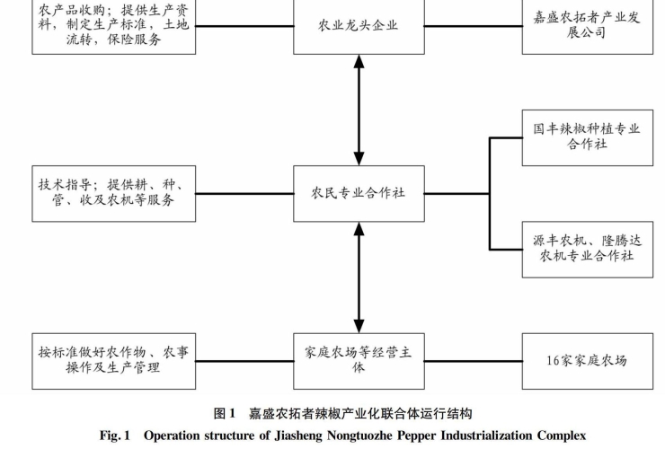 一区二区三区国产精品解析，中国影视产业的区域化发展与市场格局