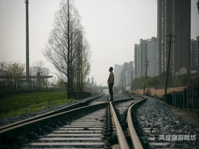 独居寡妇的生活挑战与情感需求探讨