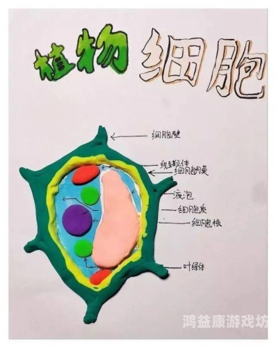 逃生，探索生命的奥秘与应对策略